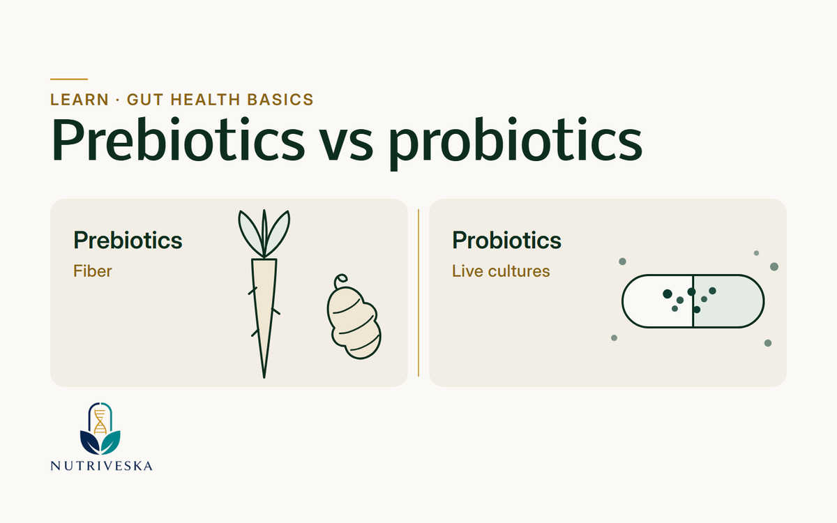 Side-by-side illustration of prebiotic fiber sources and probiotic live cultures.