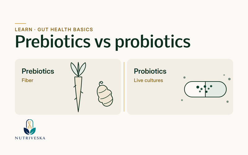 Side-by-side illustration of prebiotic fiber sources and probiotic live cultures.